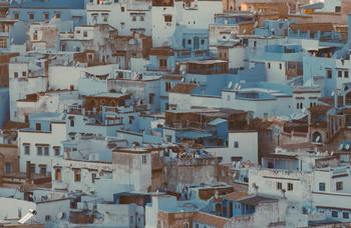 Sociology in Global Perspective